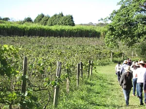 Rede de Agroecologia da Unicamp