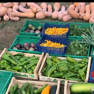 Agroecology in Plum Village Happy Farm
