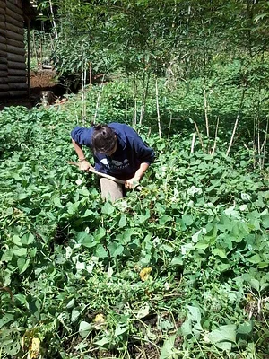 Agrofloresta Pirasykáua 2