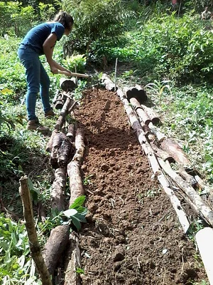Agrofloresta Pirasykáua 3