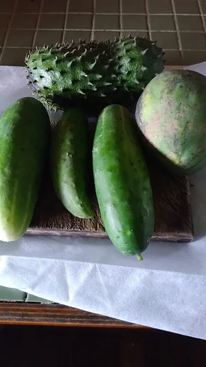 Agroforestry in Vonudrau Homestead Permaculture Farm
