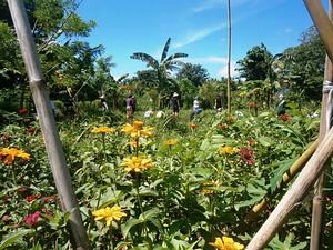 Kuatro Maria's Agroecology Farm