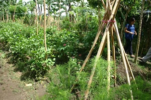 Learning Center at Kuatro Maria's Agroecology Farm