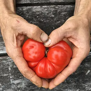 Watercliff Permaculture Farm