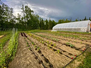 Seed Program