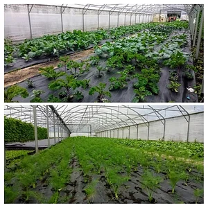 Conversion à L'agriculture Biologique Les Serres de Marcel