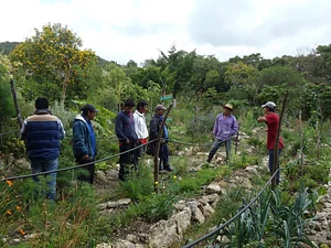 Agroecología