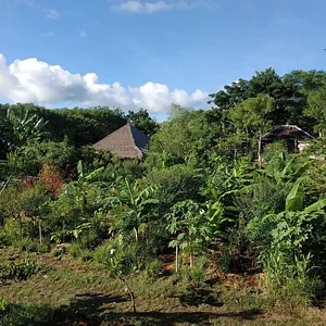 Saifana Organic Farm