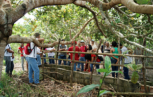 Criação De Chocadeira Artesanal Com Material Reciclado