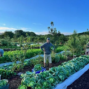 Henbant Permaculture