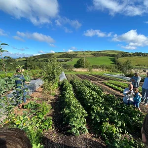 Henbant Permaculture