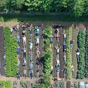 Henbant Permaculture