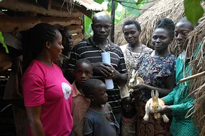 Through rabbit farming, farmers are able to collect urine and manure that they use in their farmers
