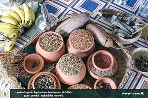 Seed Colection