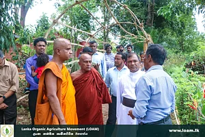 Opening Of LOADI GROVE