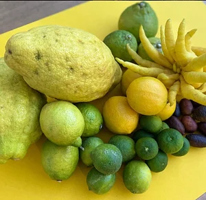 Pico - Organic freshness for trade and gastronomy