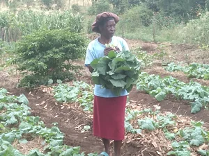 Fambidzanai Permaculture Centre