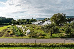 Grünhölzli - Community garden