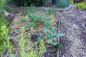 Eugene Permaculture Group