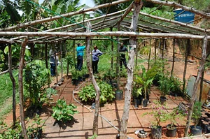 Centro Sabiá - Centro de Desenvolvimento Agroecológico Sabiá
