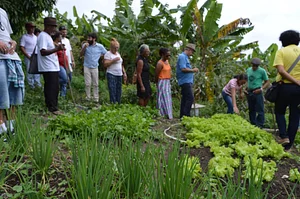 Centro Sabiá - Centro de Desenvolvimento Agroecológico Sabiá