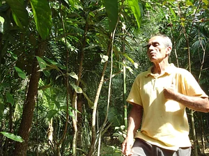 Conhecimento ancestral