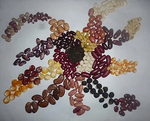 Agroecodes 1