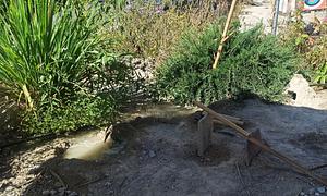 Agroecología Los Vélez