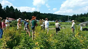 A day in the countryside
