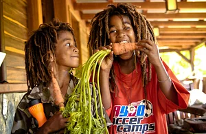 Healthy food for a healthy life