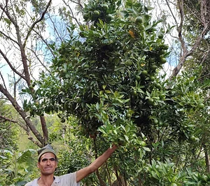 Himalayan Permaculture Centre