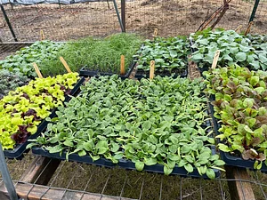 Soul Fire Farm