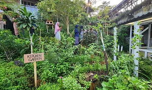 Kitchen Garden