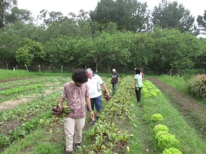 Horta da FURG