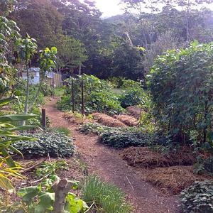 Kendall Permaculture Farm