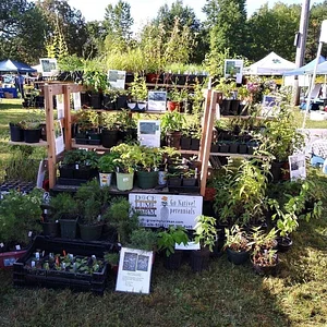 Some of our products