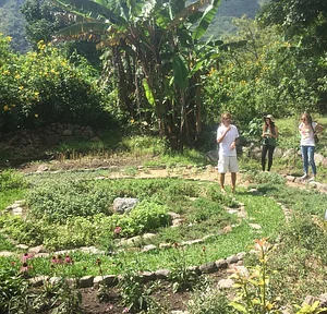 Atitlan Organics