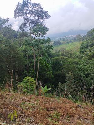 Fundo San Benito