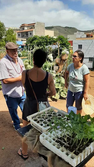 Visitas en la jornada de puertas abiertas al barrio