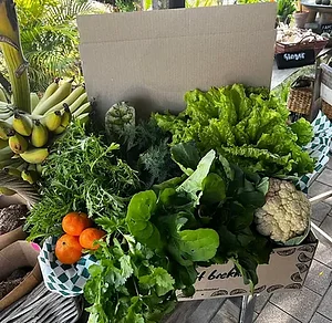 Our Veggie Boxes