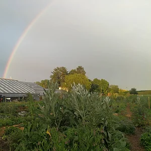 Grünhölzli - Community garden