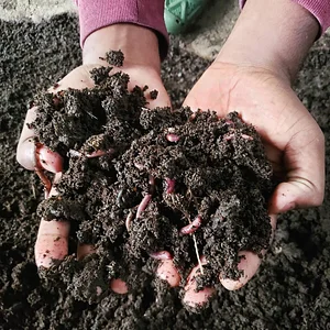 Taino Farm