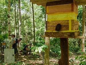 Formação de Construtores e Defensores de Territórios