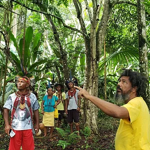 Terra a Vista
