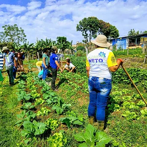 Horta Comunitaria Girasol