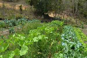 Feira Agroecológica de Montanha