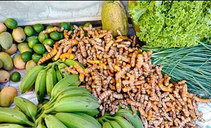 Alimentos Agroecológicos