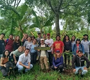 SAF da Engenharia Florestal
