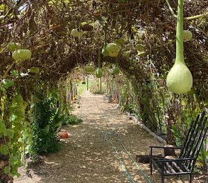 Nkwe Agroforestry