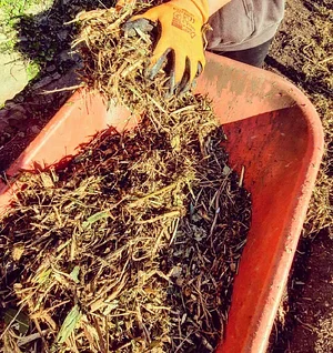 Permaculture à L'Ortu Muntagnolu
